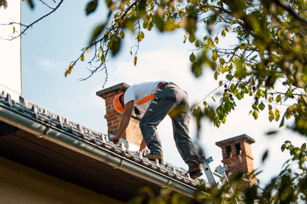 Best Roof Maintenance Services  in Winner, SD