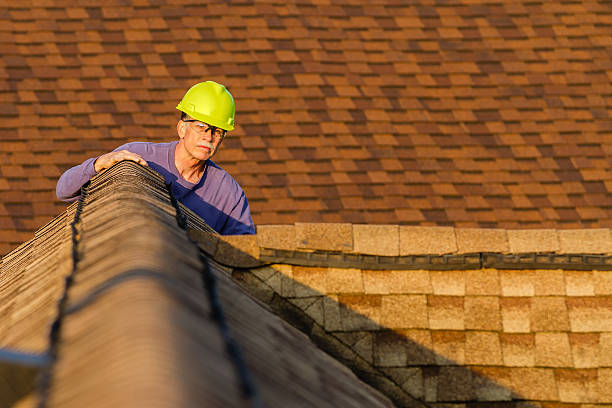 Best Roof Maintenance Services  in Winner, SD