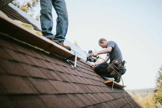 Best Storm Damage Roof Repair  in Winner, SD